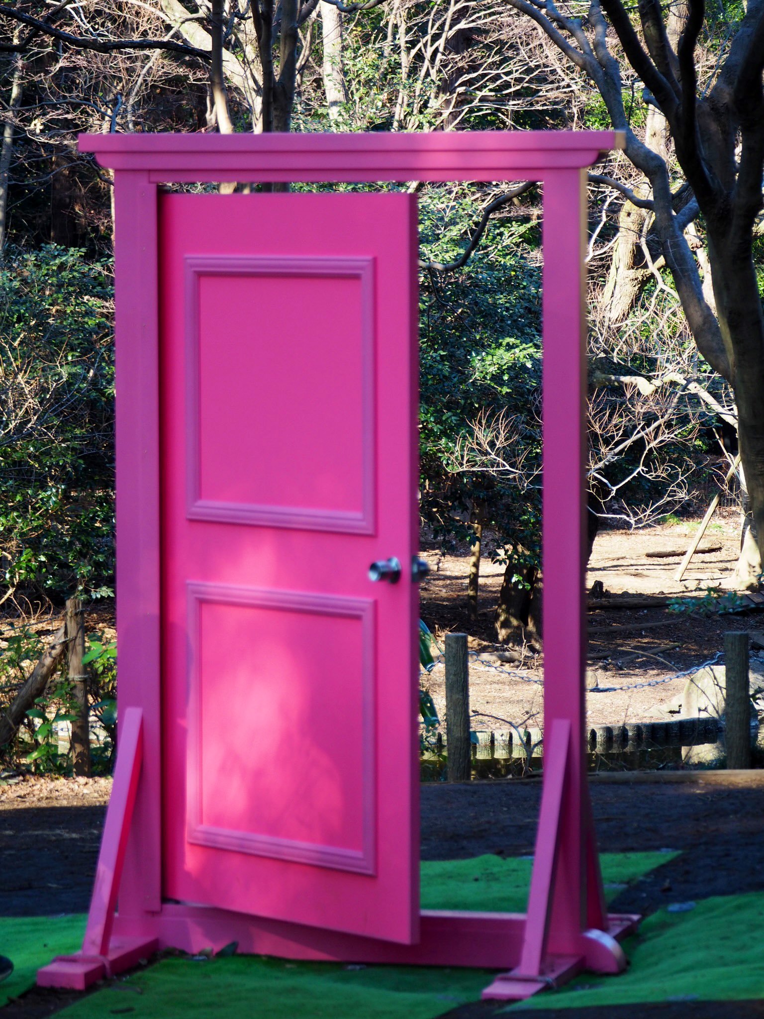 🏞️ 지코잔야마 공원 어린이 동물원 (智光山公園こども動物園) 이미지 7